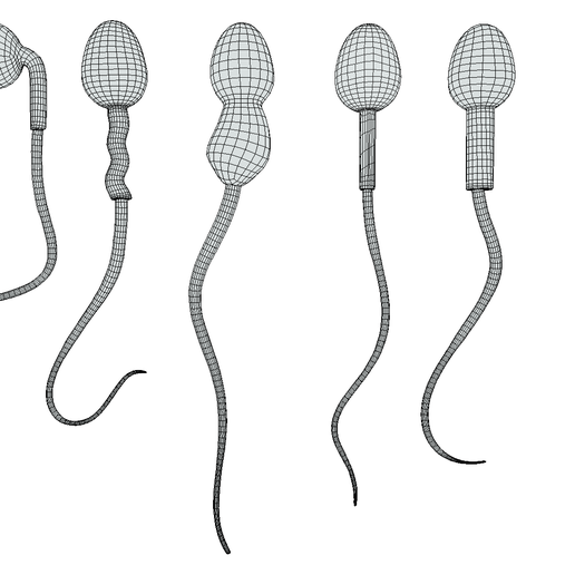 Wire-4.png Sperm Morphology: Normal and Abnormal