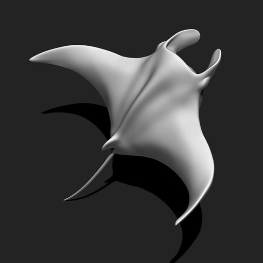 03_manta-ray-mantas-3d-print-aquarium-3d-model-186faab6c5.jpg Manta Ray - Mantas - 3D Print - Aquarium