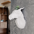 dragon-head-planter-3.png Dragon head wall mount planter pot flower vase 3d print file STL