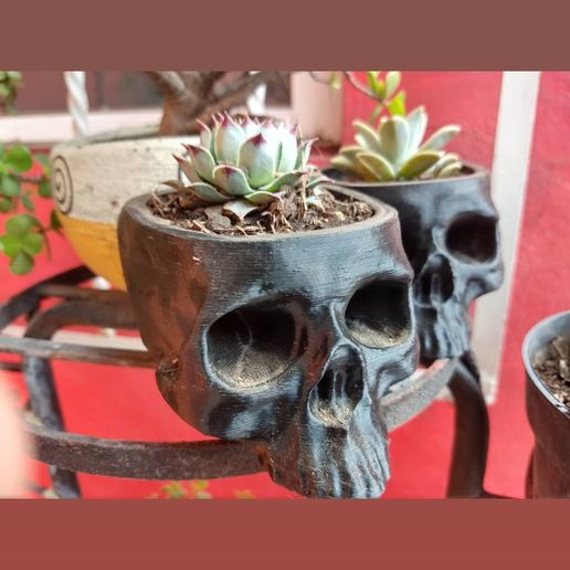 skull plantpot