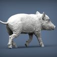 small-boar6.jpg Small boar 3D print model