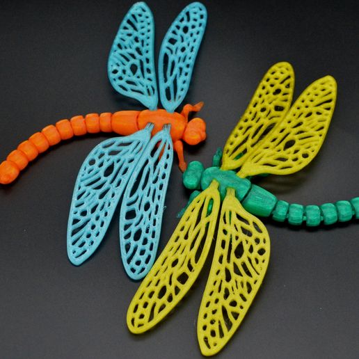 DSC_8145.jpg Flexi dragonfly