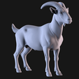 07.png Nanny goat
