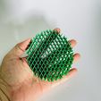 z5048241819245_24ae9f2fd37c5e61d8744bb9b701e8b8.jpg Morf worm fidget toy - Circle