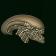 6.jpg Xenomorph Alien biomechanical head