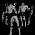 photo_2023-09-23_04-20-44__2_-removebg-preview.png Wolverine action figure