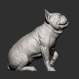 French-Bulldog14.jpg French Bulldog 3D print model