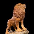 The-Asiatic-Lion-Resin-4.jpg The Asiatic Lion