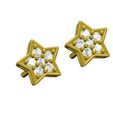 05.jpg Star Stud Earring