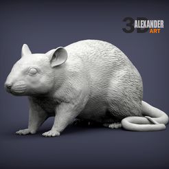 rat-1.jpg Rat 3D print model