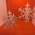 1000017119.jpg Snowflake 3D