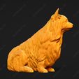 686-Australian_Terrier_Pose_05.jpg Australian Terrier Dog 3D Print Model Pose 05