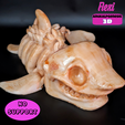flexisharkskeleton2.png Flexi Skeleton Shark