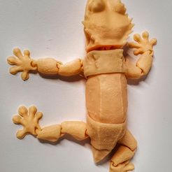 Crested Gecko Articulated Toy, Print-In-Place Body, Snap-Fit Head, Cute Flexi