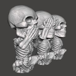 01.jpg Файл STL 3 Набор мудрых черепов・Идея 3D-печати для скачивания