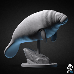 manatee.png 3D file Chonky Manatee - Animal・3D printable model to download, eli3D