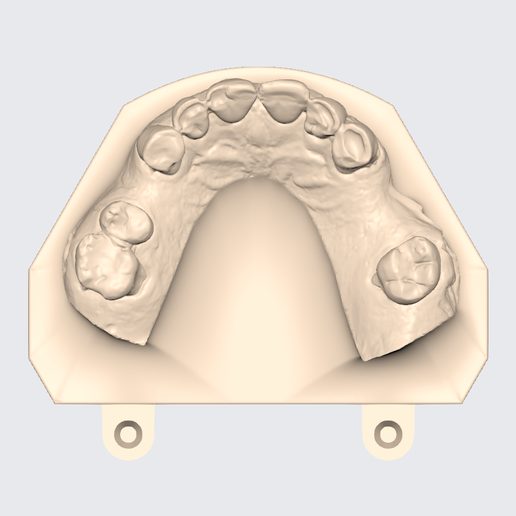 🦷 ARTICULATED UPPER AND LOWER DENTAL MODEL (28)・Free STL File for 3D ...