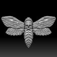 a.jpg Death's Head Hawk Moth