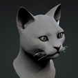 Screenshot-2025-09-03-124359.png Cat Bust with texture