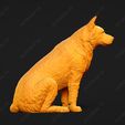 479-Australian_Cattle_Dog_Pose_06.jpg Australian Cattle Dog 3D Print Model Pose 06