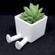 20170824_175659.jpg Succulent Planter / 3D printed planter / Legged Planter