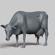 R02.jpg dairy cow pose 03