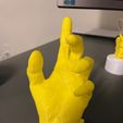 hand anatomy