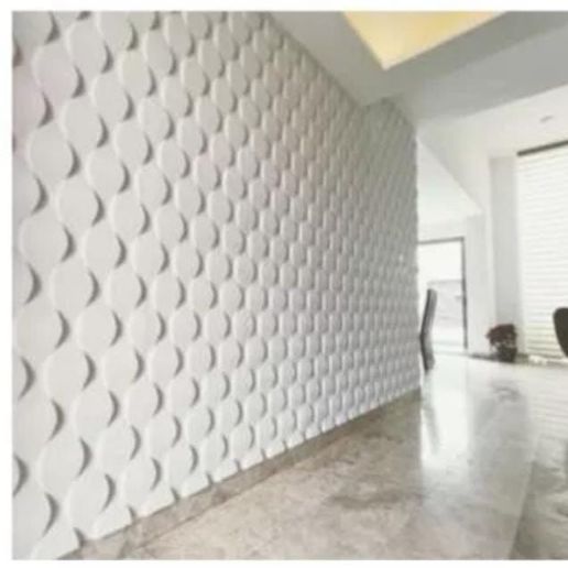 WhatsApp-Image-2023-01-22-at-10.27.00-PM.jpeg Cheshuya