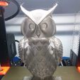 IMG_20180412_142019.jpg Owl LED Lamp