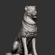 central-asian-shepherd-dog-3d-model-c477417614.jpg 3D-Datei Zentralasiatischer Hirtenhund 3D-Druckmodell・3D-Drucker-Vorlage zum herunterladen