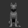 Australian-Cattle-Dog-sitting9.jpg Australian Cattle Dog Sitting Pose STL 3D print model
