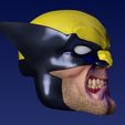 head03_05.jpg Wolverine 1/12 headsculpt angry