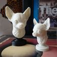 DSC04357.jpg Chihuahua 3D STL Model Bust Desktop Statue