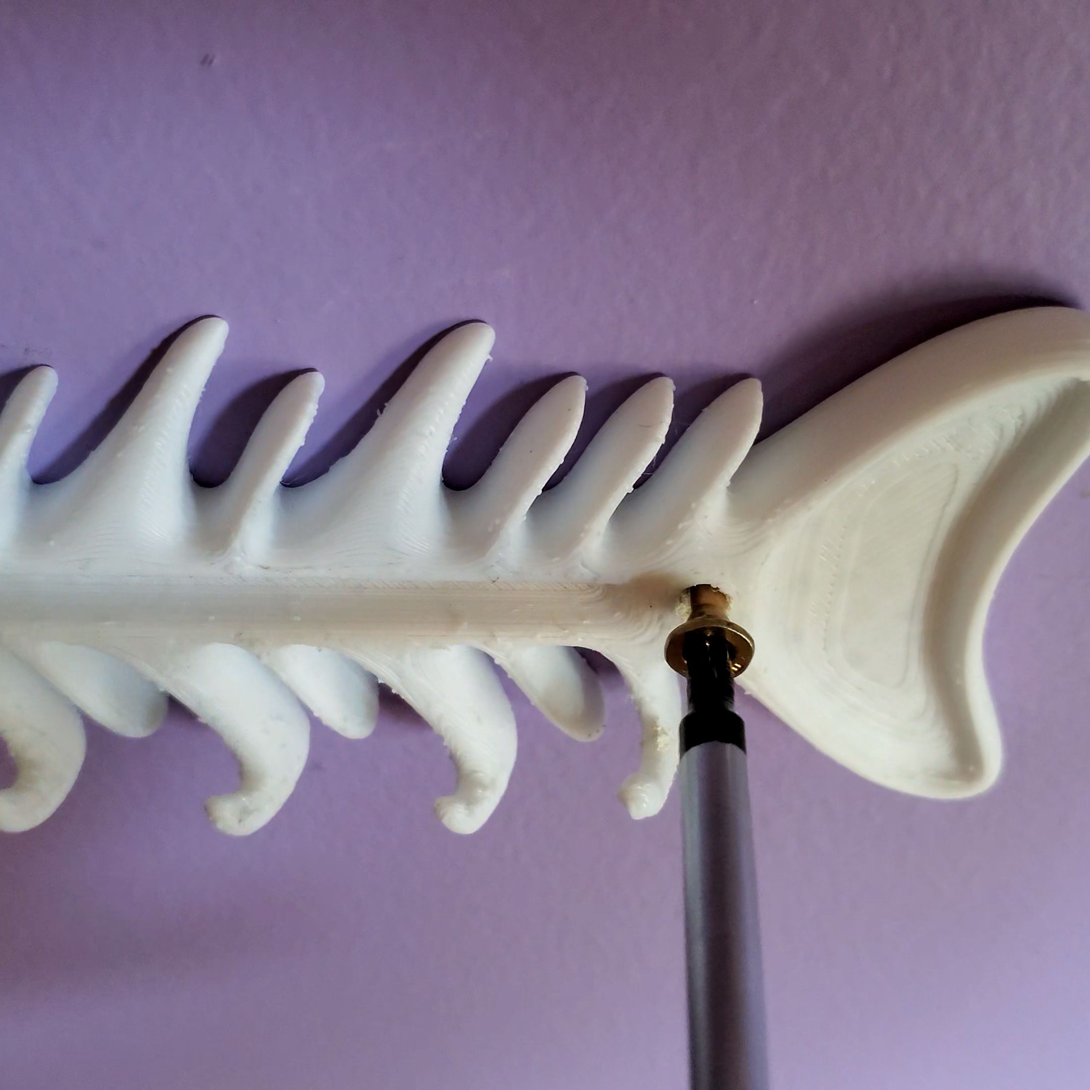 Bone_Fish.00_01_06_03.Still004.jpg STL file Fish Bone Key Hanger・Model to download and 3D print, PrintThatThing