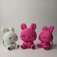IMG20250619111227.jpg 🐰 Chibi Bunny Buddies - Modèles imprimés en 3D + Porte-clés