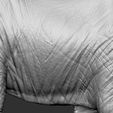 10.jpg Elephant African