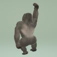 gorille2.jpg The Goliath gorilla 🦍