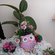 20220921_150039.jpg Owl Planter Pot