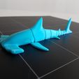 20220707_201435.jpg Hammerhead Shark Flexi