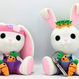 InShot_20240205_181904648.jpg Bunny Brothers, cute baby rabbits and their articulated carrot keychain