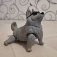 IMG_20220228_171716.jpg Archivo STL FLEXY CORGI・Diseño de impresora 3D para descargar