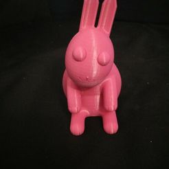 bunny_1.jpg Lapin