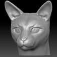 1.jpg Siamese Cat head for 3D printing
