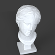 top.png Venus Low Poly bust