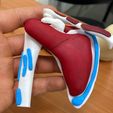 WhatsApp-Image-2025-03-11-at-11.50.26.jpeg SCAPULA ANATOMICAL MODEL SHOULDER BY PARTS