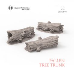 1000X1000-Gracewindale-trunk.jpg Fallen Tree Trunk