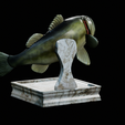 Bass-trophy-9.png Largemouth Bass / Micropterus salmoides fish in motion trophy statue detailed texture for 3d printing