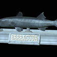 Barracuda-base-16.png fish great barracuda / Sphyraena barracuda statue detailed texture for 3d printing