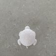 E966739E-E042-431B-B408-82D2897C7C41.jpeg Turtle keychain - MJDESIGN3D