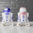Front-2.jpg Deluxe Fully Articulated R2-D2 and R5-D4